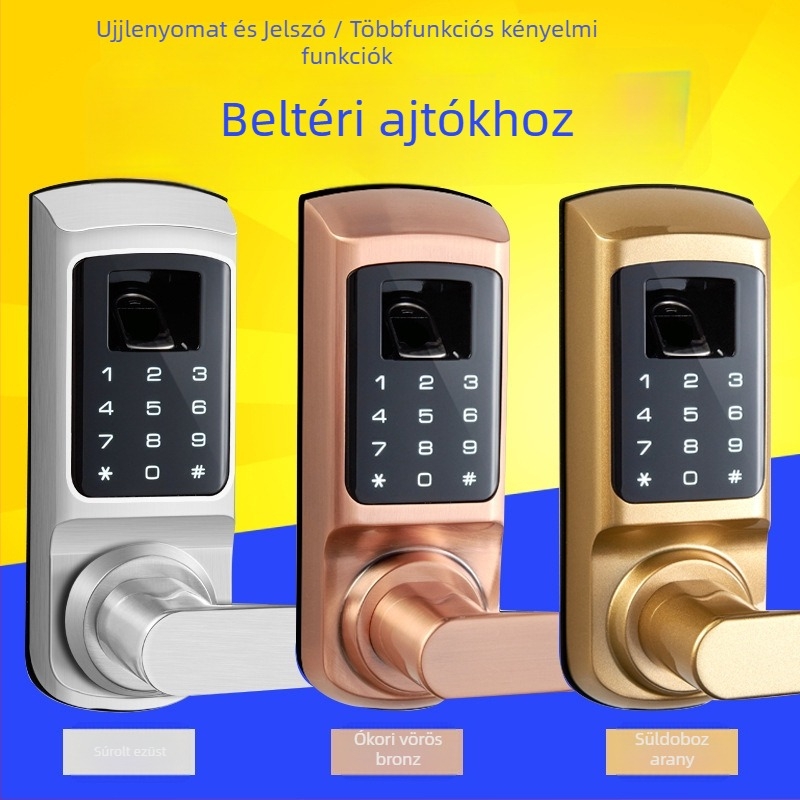 FM-02 ujjlenyomat-ajtózár, DC tápegység és elektronikus kód