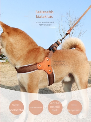 Kutyamellény-hám mellkas- és hátsó pánttal