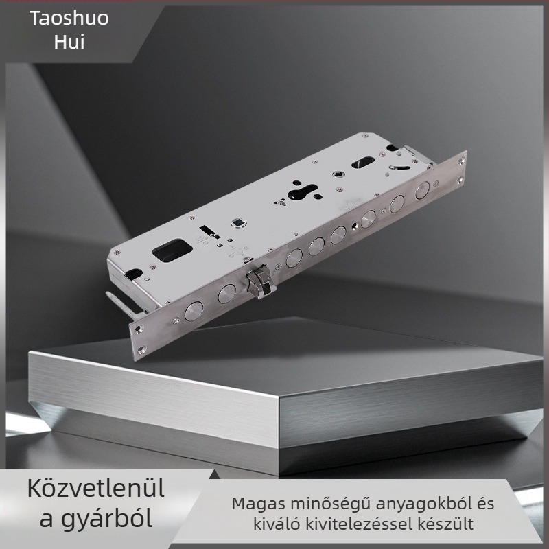 304 rozsdamentes acél zártest - nem szabványos forma - nagy kör alakú, egy nyelvű zár - modell: online konzultáció - modern, egyszerű stílus