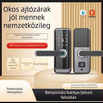 Fa ajtókhoz készült intelligens zár biometrikus ujjlenyomat, olvasó kártya és jelszó kombinációval (ujjlenyomat-tárolás 1000; kinyitások >10000; szkennelési idő <0,1 s; hamis elfogadás <0,1%; hamis elutasítás <0,2%)