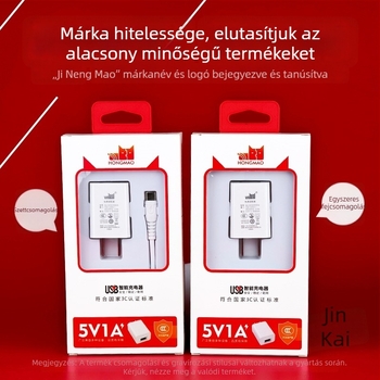 5V1A Töltőfej – Univerzális töltő a Bluetooth fülhallgatók, megfigyelő kamera, olvasó toll és okosóra számára (5W kimenet, QC 4.0)
