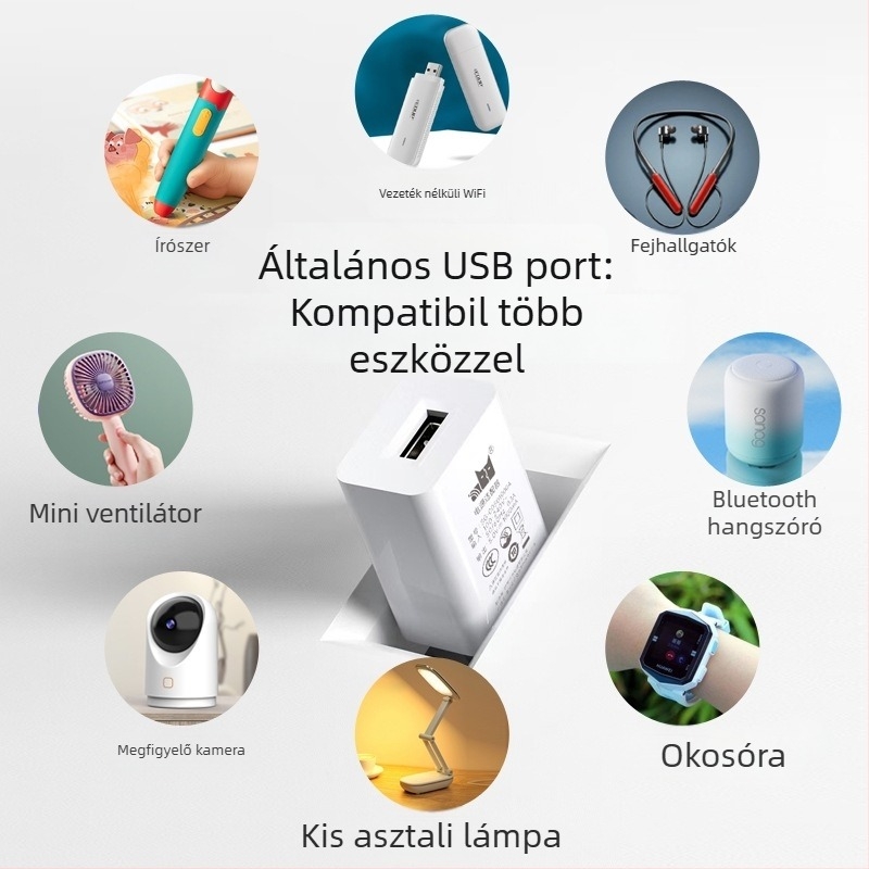 5V1A Töltőfej – Univerzális töltő a Bluetooth fülhallgatók, megfigyelő kamera, olvasó toll és okosóra számára (5W kimenet, QC 4.0)