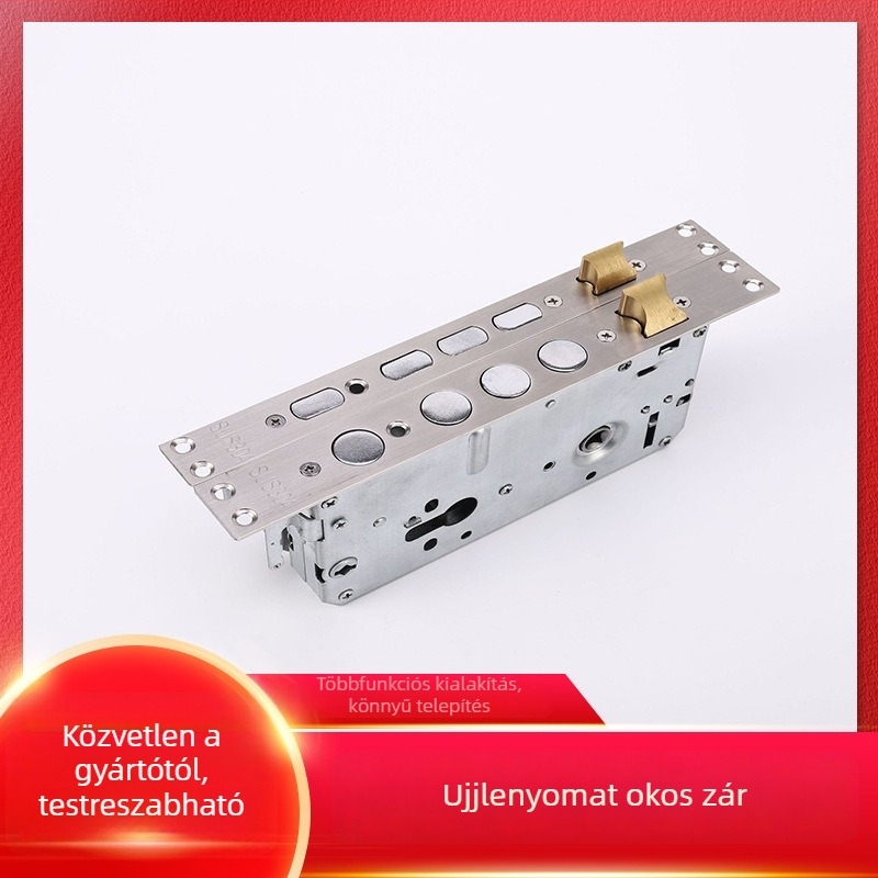 Ujjlenyomat-azonosítású zártest biztonsági ajtókhoz – 201 rozsdamentes acél, modell 1#/20# Anti-sticking, stílus modern egyszerű