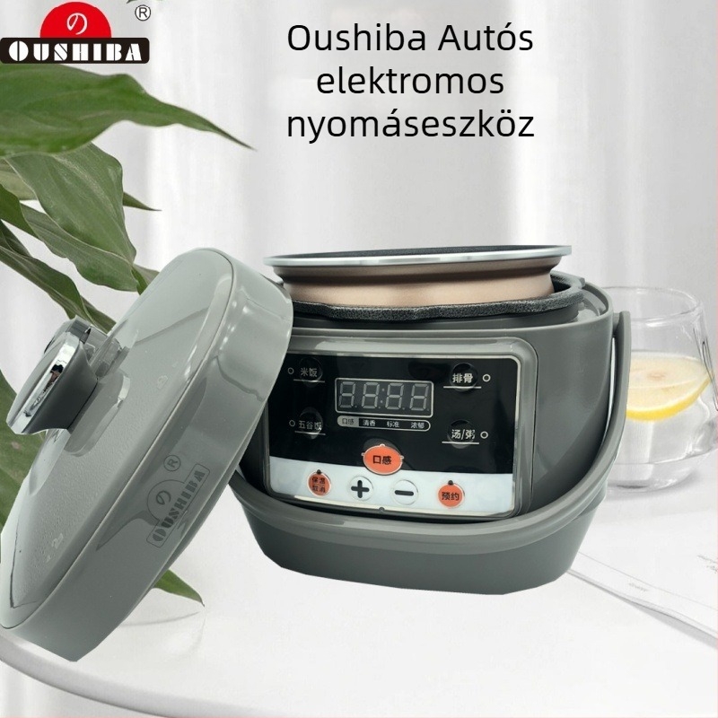 Ouzhibao JQ02 járműre szerelt elektromos nyomásos edény, 24V, 2.5L, 600W, modell CFXBOB-JQ02, magaslatokhoz kompatibilis