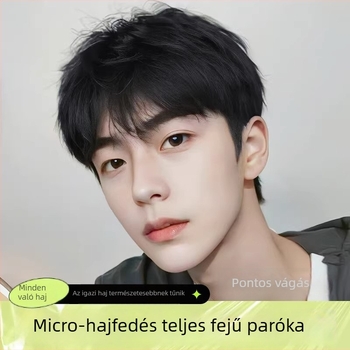 Férfi teljes paróka koreai stílusban, mindennapi viseletre, kézzel készített, rövid haj, valódi emberi haj, festhető és göndöríthető