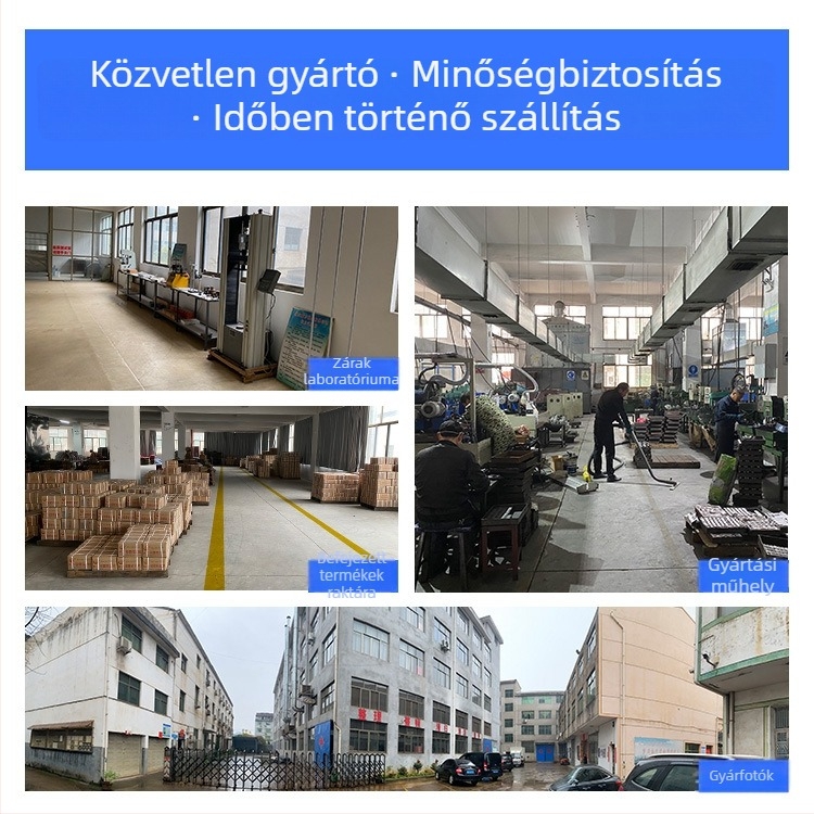 Biztonsági lakat - E típus, ötvözet acél, PS70, Valor, furgonokra és konténerekre