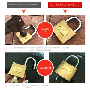 Biztonsági lakat, vasból, Lion Ring márka, Type C modell, ajtókhoz, szekrényekhez és táskákhoz alkalmas (vas; Lion Ring; Type C; ajtók, szekrények, táskák)