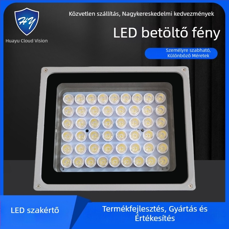 LED kiegészítő világítás megfigyelőkamerákhoz út- és parkoló területeken — IP66, 12V/AC24V/AC220V, 15–100W, 2400–4200 lm