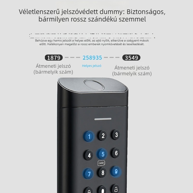 Okos zár ujjlenyomattal, amerikai szabvány, WiFi alkalmazásvezérlés, Modell D2, cinkötvözet