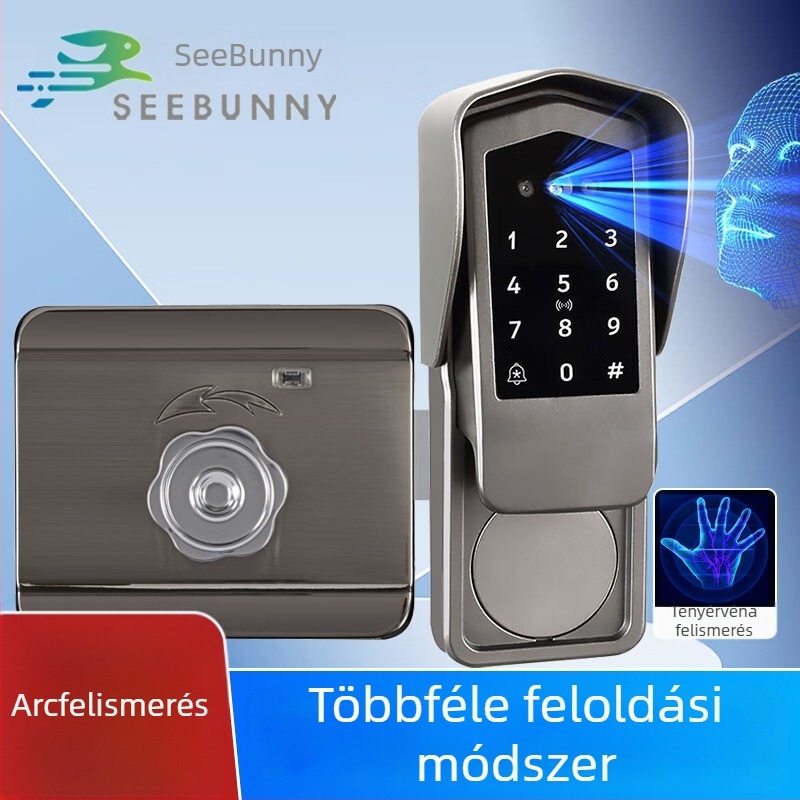Arcfelismeréses zár palmaris véna jelszóval – elektronikus zár lakások és vidéki kapukhoz, esőálló vasajtó