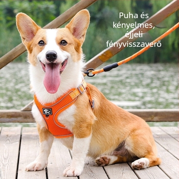 Kutyamellkas-hám, állítható, kötél-stílus, poliészter (Anyag: Poliészter; Kategória: mellkas-hám; Bővíthető: Igen)