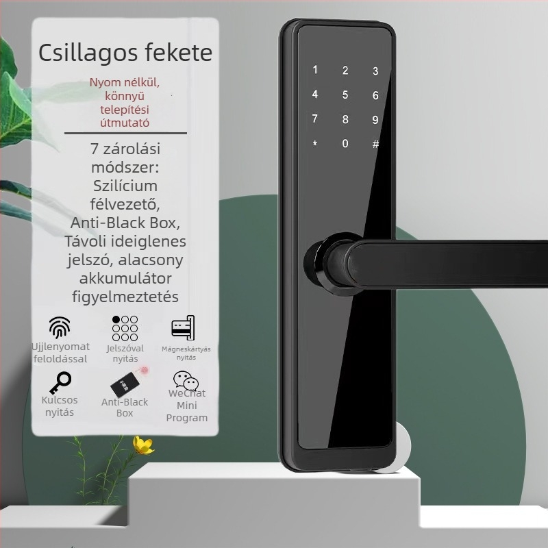 Fa ajtóhoz való ujjlenyomat- és jelszavas zár irodai és otthoni használatra, 40 ujjlenyomat tárolása, több mint 100000 zárnyitás, szkennelés <1 s, DC tápegység