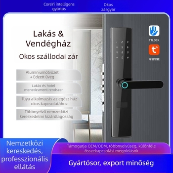 Heyi intelligens ajtózár ujjlenyomat-azonosítással és kártyaolvasóval, apartmanok és szállodák számára