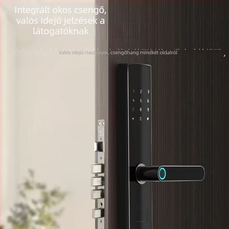 Heyi intelligens ajtózár ujjlenyomat-azonosítással és kártyaolvasóval, apartmanok és szállodák számára