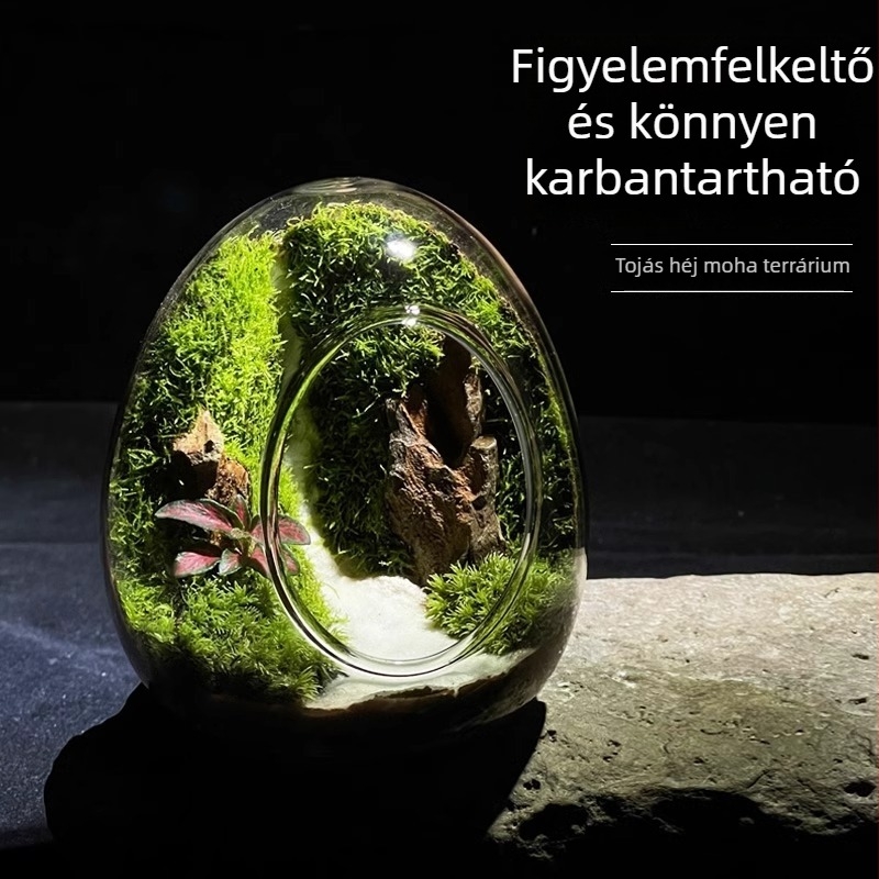 Üvegből készült mohás mikrotájkép tojáshéj tartályban — beltéri dísz terrárium valós mohával (Anyag: Üveg; Stílus: Egyéb; Importált: Nem; IP engedély: Nem)