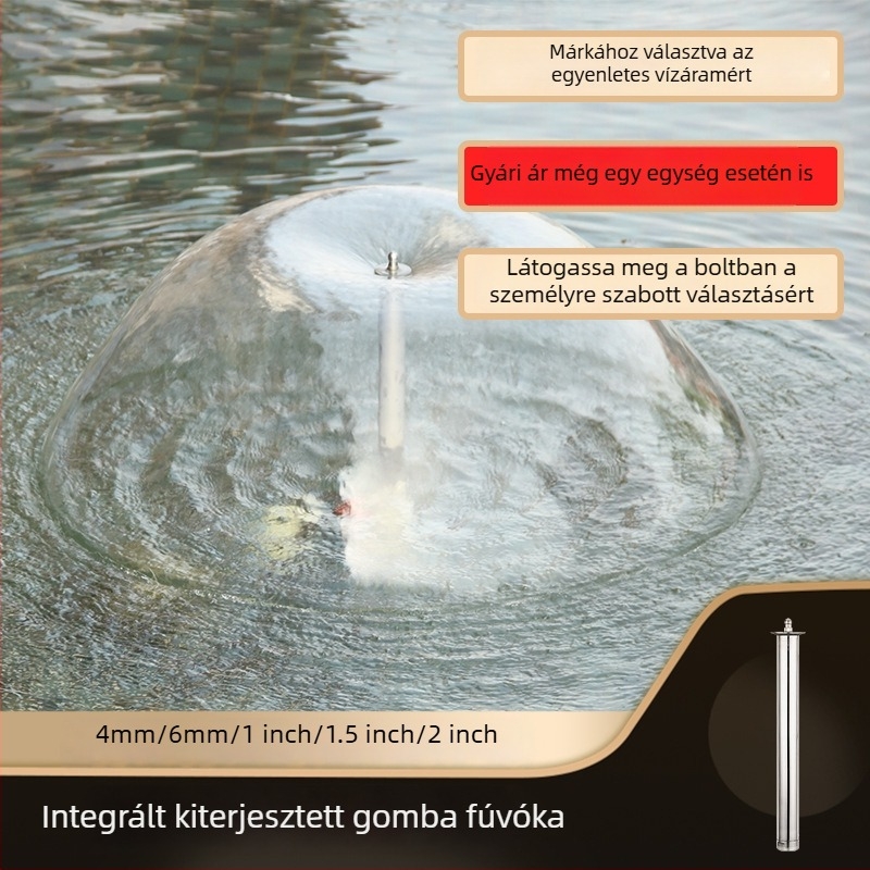 Rozsdamentes acélból készült integrált hosszított gomba fúvóka vízi látványosságokhoz (Anyag: rozsdamentes acél; Alkalmazás: vízi tájkép fúvóka; Márka: Davis)