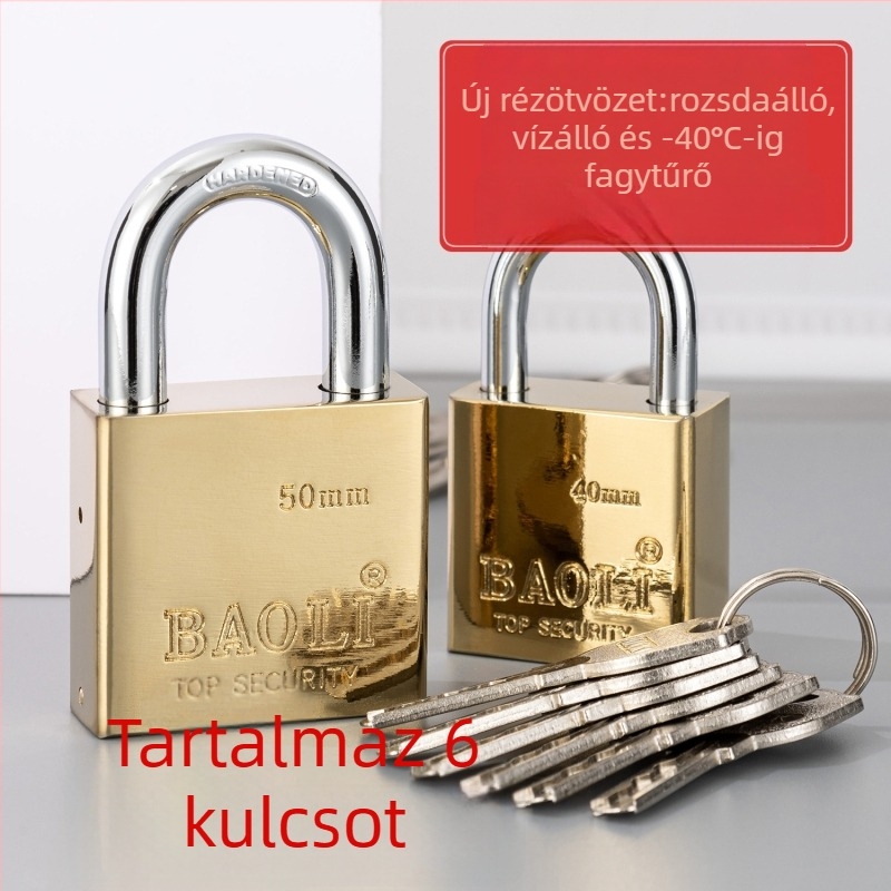 Biztonsági zár Type C, vas test, BAOLI, univerzális használat, könnyed luxus stílus