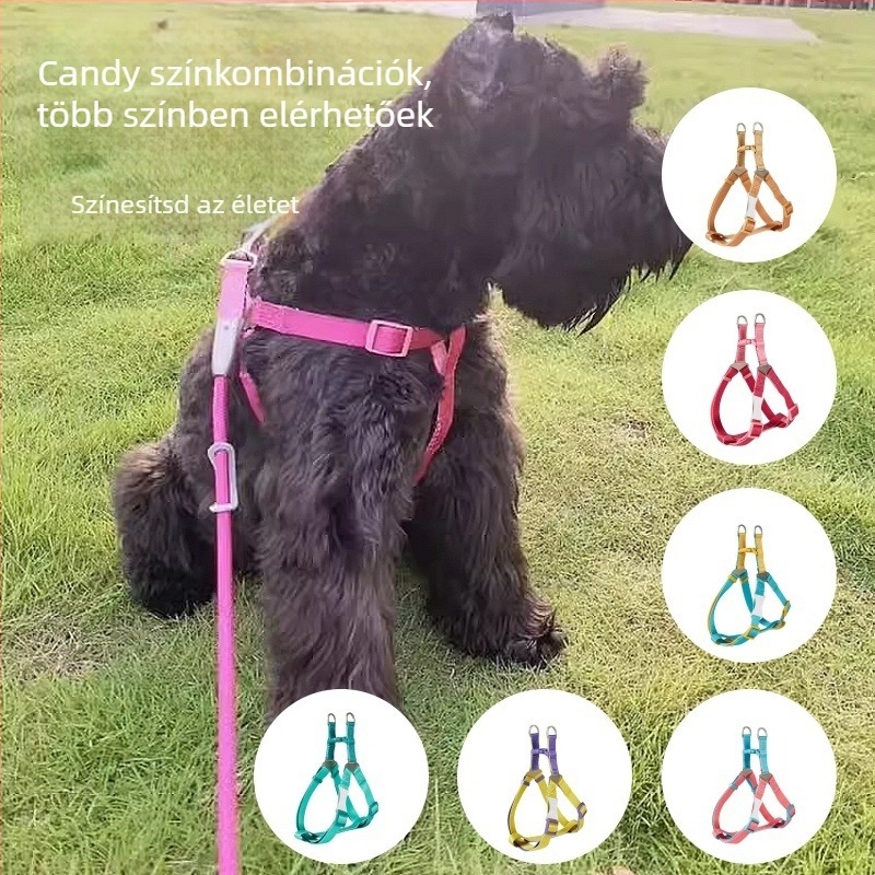 Kutyahám és póráz készlet | Poliészter, Eredet: Zhejiang, Kategória: háziállat kötele, Márka: UNMIXED, Csomagolás: 50 db