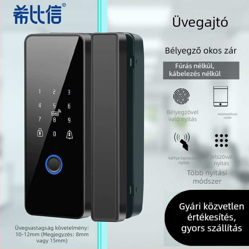 Üveges ajtóhoz készült elektronikus zár ujjlenyomat- és jelszóhoz, modell 01, 100 ujjlenyomat tárolás, szkennelési idő <0,3 s, DC tápegység