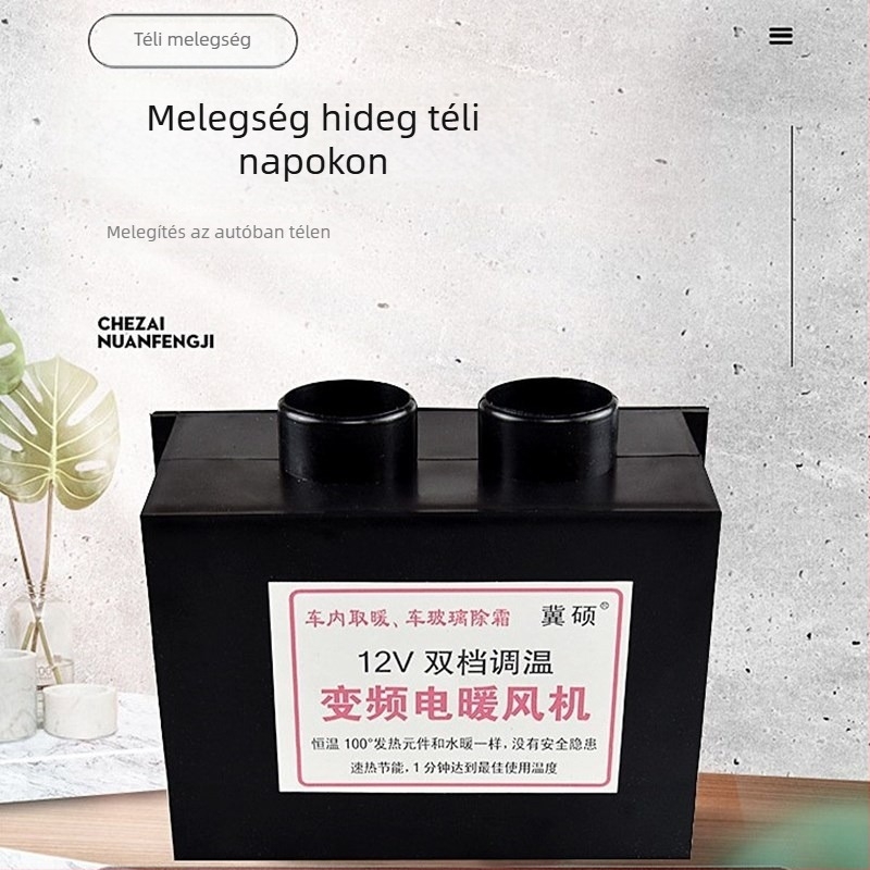 Autómelegítő télre — ABS ház, 1000W, Lin junwang, No.1 elektromos fűtőventilátor, licencelhető magáncímke
