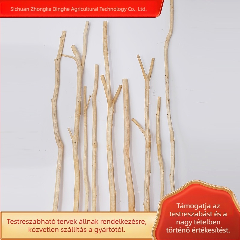 Dekoratív tömörfa ágak függönyrudakhoz és ruhatárolókhoz, hámlasztott száraz ágak; anyagkód 23332023141, mesterségkód 19766709556, fajta Daisy, esküvőkre, szabadban, fotózáshoz és otthoni dekorációhoz