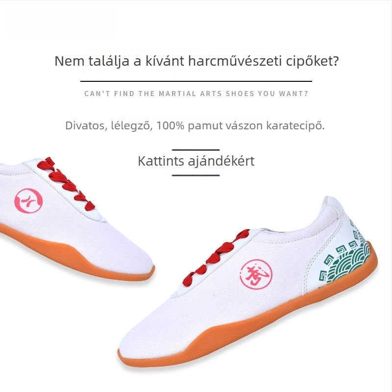 Tai Chi cipők – velúr felsőrész, bőrmikroszálas bélés, habos gumi talp, injekciós öntéssel készült konstrukció, modell LKF0012