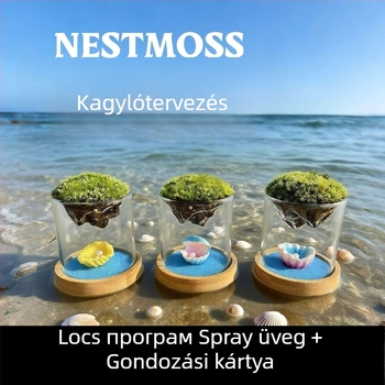 Independent márkájú üvegváza mohás mini tájjal – boroszilikát üveg, irodai dekoráció, üzleti ajándék