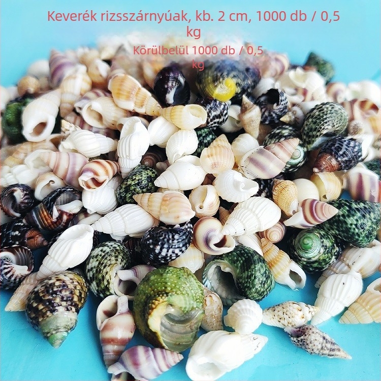 Akváriumi dekor kagylókból – természetes kagylók, tengeri stílus; teljesen természetes kézművesség, bionikus gyártási folyamat (Anyag: kagyló; Stílus: tengeri; Készítés: természetes; Gyártási folyamat: bionikus; Alkalmazás: fotóstúdió kellékek, akvárium ké