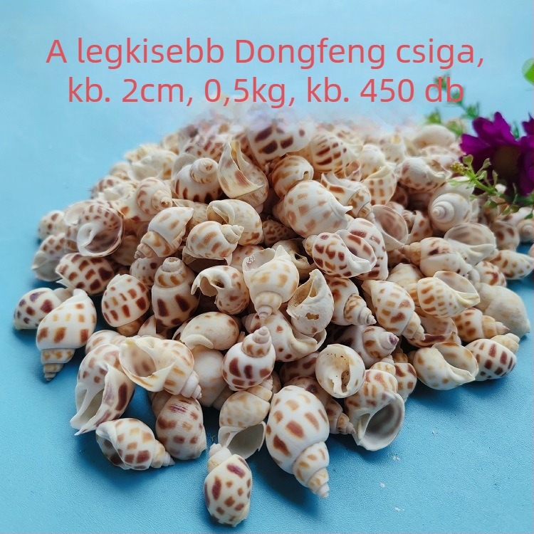 Akváriumi dekor kagylókból – természetes kagylók, tengeri stílus; teljesen természetes kézművesség, bionikus gyártási folyamat (Anyag: kagyló; Stílus: tengeri; Készítés: természetes; Gyártási folyamat: bionikus; Alkalmazás: fotóstúdió kellékek, akvárium ké