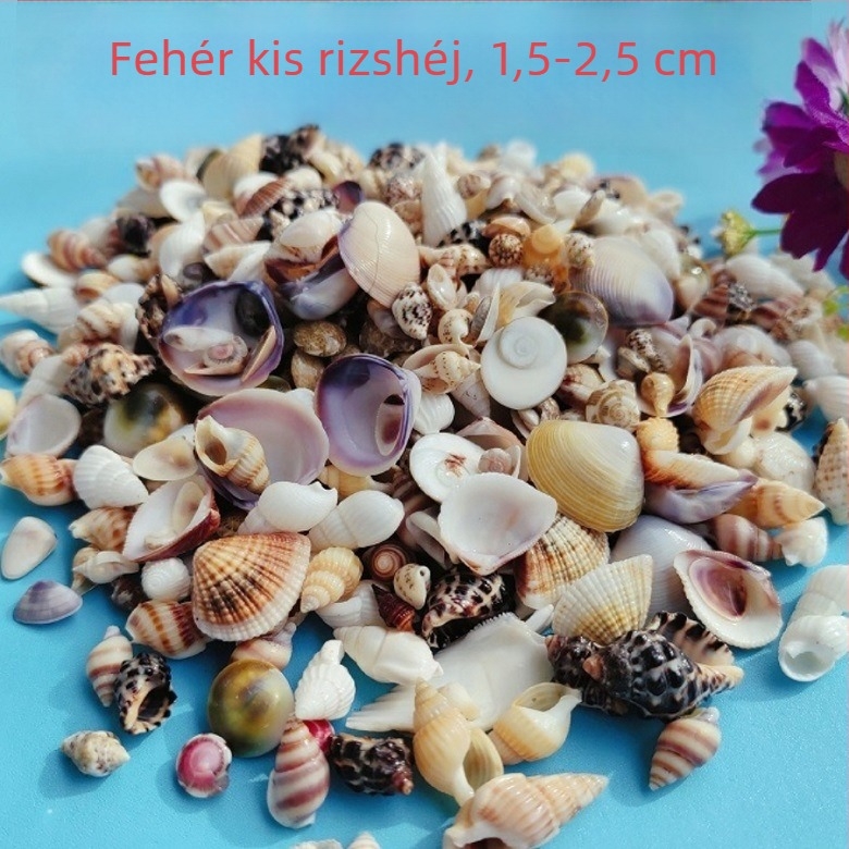 Akváriumi dekor kagylókból – természetes kagylók, tengeri stílus; teljesen természetes kézművesség, bionikus gyártási folyamat (Anyag: kagyló; Stílus: tengeri; Készítés: természetes; Gyártási folyamat: bionikus; Alkalmazás: fotóstúdió kellékek, akvárium ké