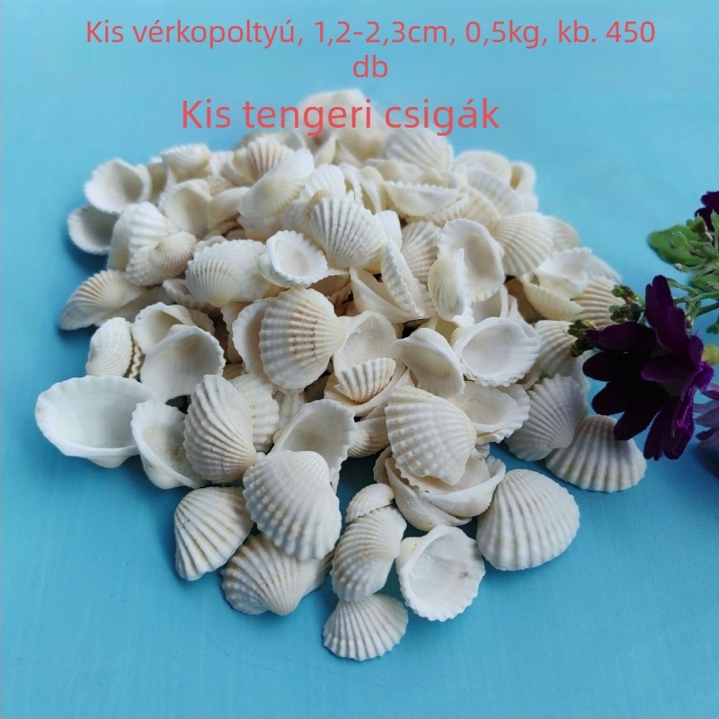 Akváriumi dekor kagylókból – természetes kagylók, tengeri stílus; teljesen természetes kézművesség, bionikus gyártási folyamat (Anyag: kagyló; Stílus: tengeri; Készítés: természetes; Gyártási folyamat: bionikus; Alkalmazás: fotóstúdió kellékek, akvárium ké