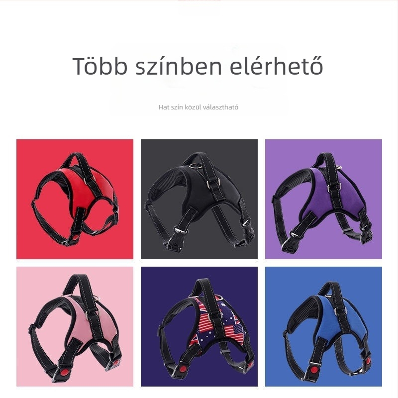 Nylon kutyahám és nyolcszálú póráz