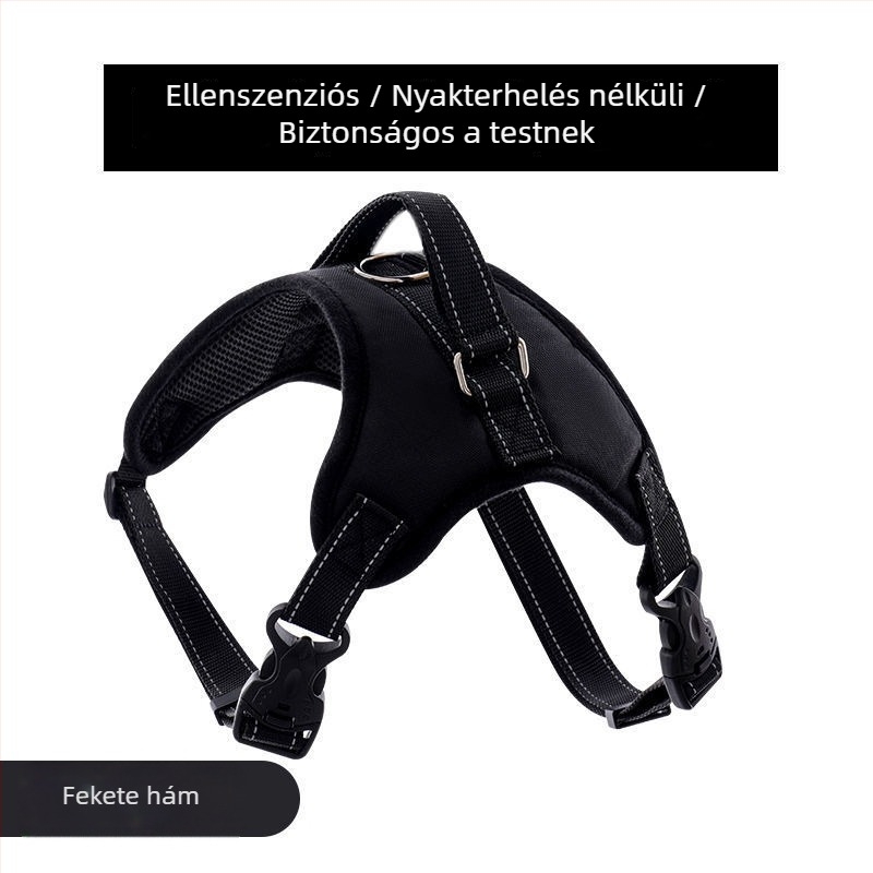 Nylon kutyahám és nyolcszálú póráz