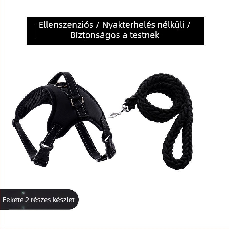 Nylon kutyahám és nyolcszálú póráz