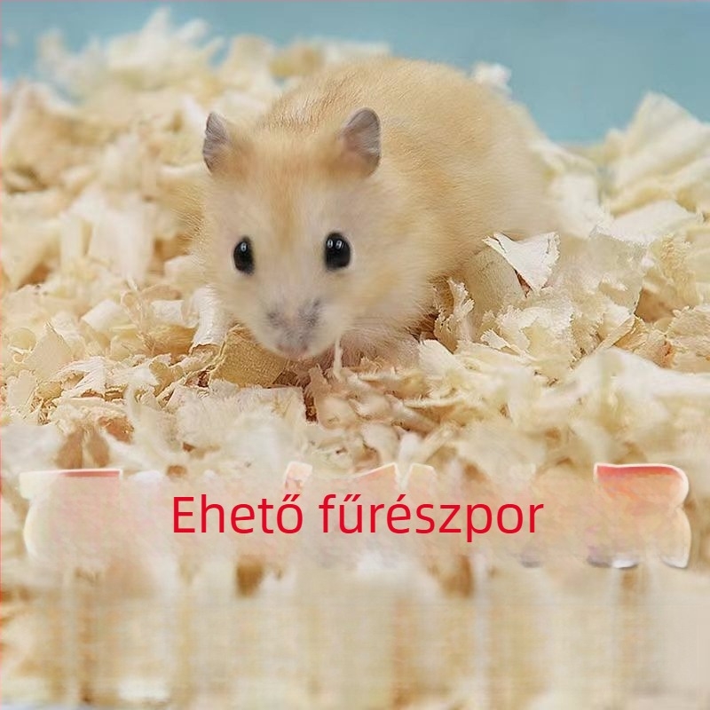 Hamstergondozási csomag: Teljes élelmiszer- és nassolnivaló készlet kezdőknek | Kisállat étel, Márka: Egyéb, Nem importált