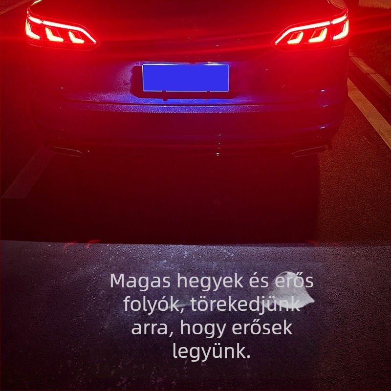 Serada Volkswagen rendszámtábla vetítő lámpa — kompatibilis Volkswagen járművekkel