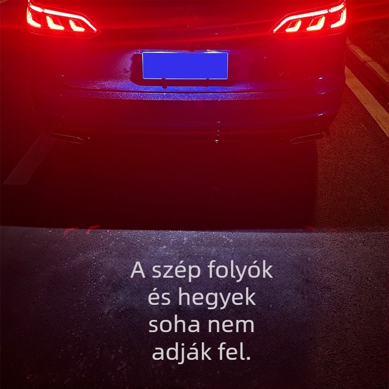 Serada Volkswagen rendszámtábla vetítő lámpa — kompatibilis Volkswagen járművekkel