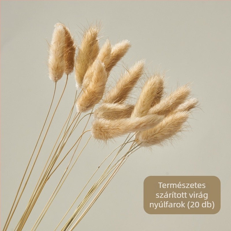 Kő textúrájú fotózási rekvizit – szabálytalan geometriájú tömbök kozmetikumok és ékszerek bemutatására, márka Light and Shadow Stars