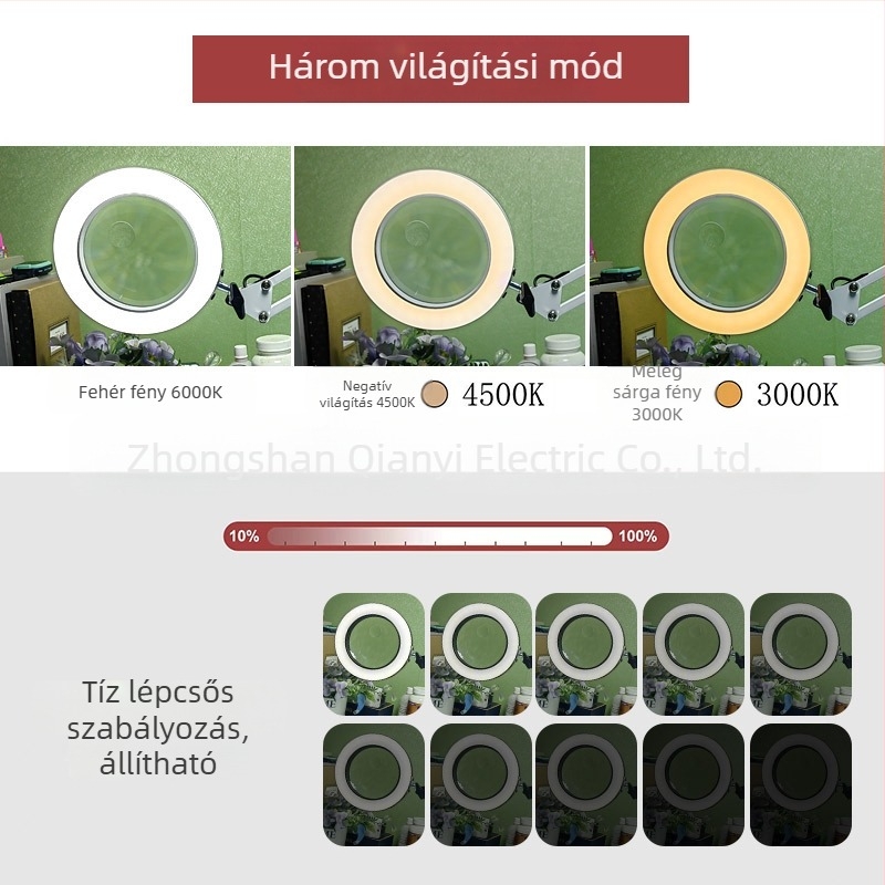 LED asztali lámpa hosszú karúval és összecsukható nagyítóval – szemkímélő olvasáshoz és karbantartáshoz, USB táplálású 12W, fém árnyékoló, CE tanúsítvány