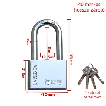 Blade lakat ajtókhoz | Vas test | Oakman márka | Otthoni használat | Modern egyszerű stílus