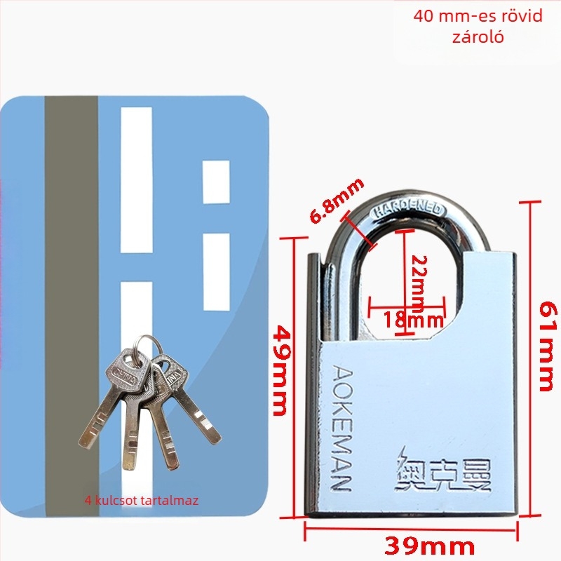 Blade lakat ajtókhoz | Vas test | Oakman márka | Otthoni használat | Modern egyszerű stílus