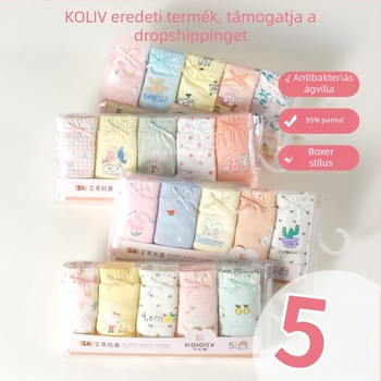 Lányok pamut boxernadrág, középmagas derekú, 95% pamut, mesefigurás nyomtatás, 5 darabos csomag, 3–8 éveseknek.