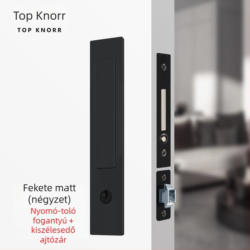 DJL-10200 Rejtett tolóajtó zár, kampó típusú, cink-ötvözet, elektroplakálás