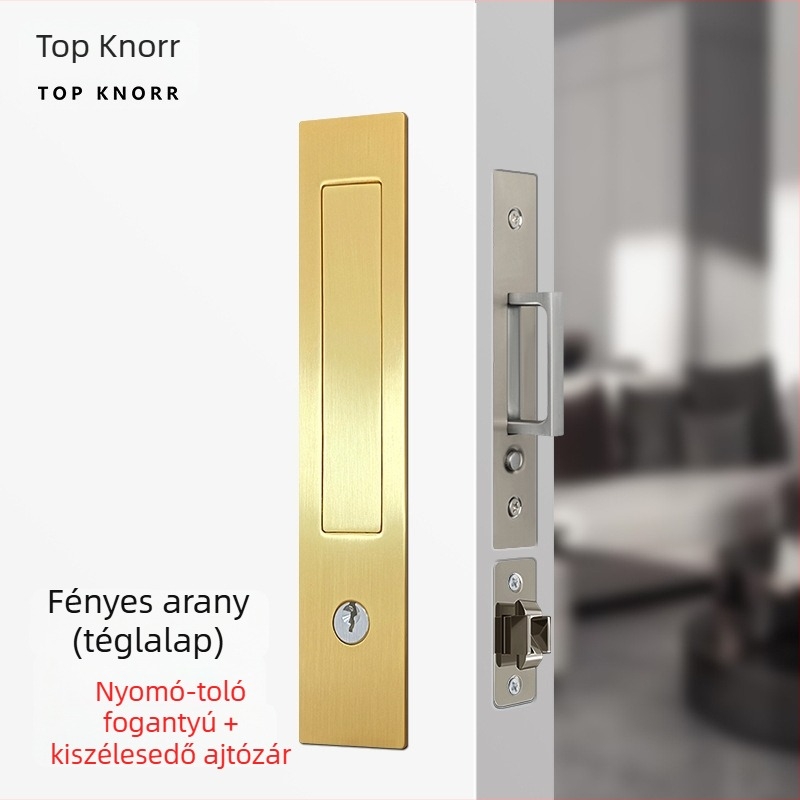 DJL-10200 Rejtett tolóajtó zár, kampó típusú, cink-ötvözet, elektroplakálás