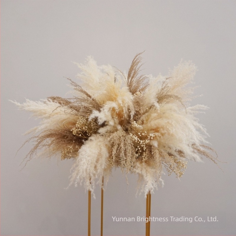 INS-stílusú száraz virág fotórekvizit, márka Brightness, anyag: szárított virág, feldolgozás: Egyéb, fajta: 3332590, felhasználás: esküvő/kültér/fotórekvizitek