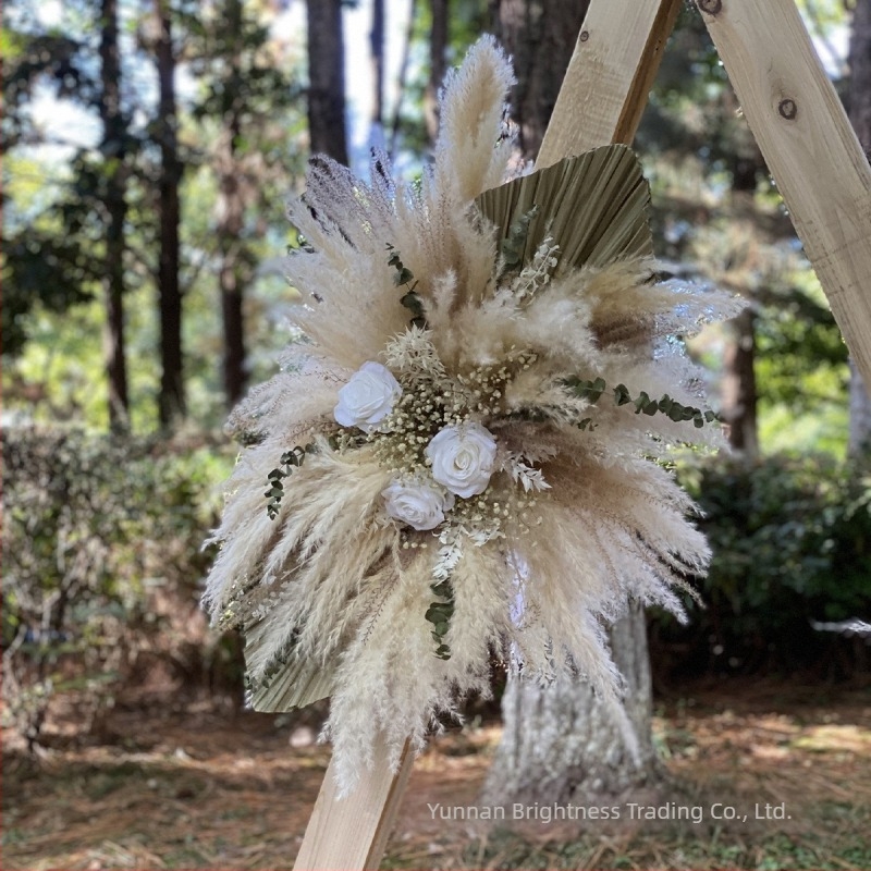 INS-stílusú száraz virág fotórekvizit, márka Brightness, anyag: szárított virág, feldolgozás: Egyéb, fajta: 3332590, felhasználás: esküvő/kültér/fotórekvizitek