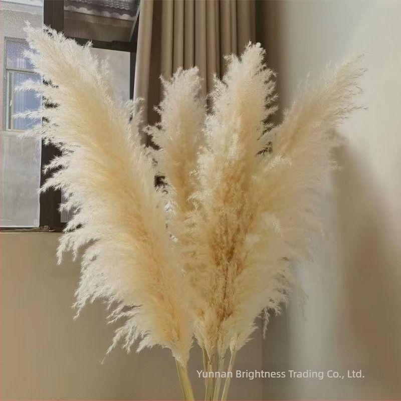 INS-stílusú száraz virág fotórekvizit, márka Brightness, anyag: szárított virág, feldolgozás: Egyéb, fajta: 3332590, felhasználás: esküvő/kültér/fotórekvizitek