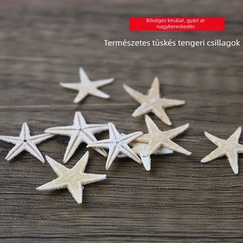 Természetes kagyló, mini tengeri csillag üvegpalackban, mikro táj dekoráció, kézzel készített, DIY kiegészítők, konzervált virágok