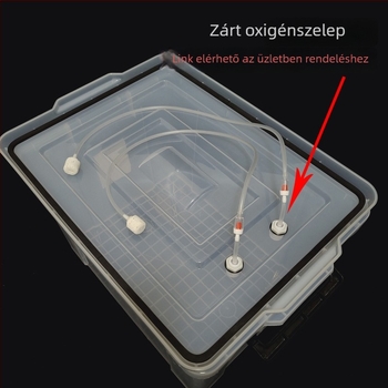 Átlátszó, téglalap alakú élőhal-szállító doboz, szivárgásmentes autóhoz használható, horgászfelszerelés tárolására