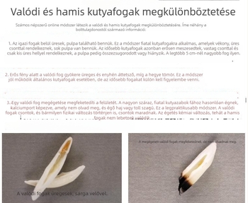 Valódi fekete kutyafog ékszer — farkasfog medál és tibeti masztiff fog medál, etnikus stílusú nyaklánc férfiaknak és gyerekeknek